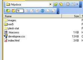 .htaccess file is visible